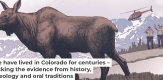 Moose may have been in Colorado longer than previously thought. Illustration courtesy of Ettore Mazza, CC BY-ND